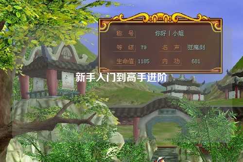 新手入门到高手进阶